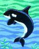 003205 20x25 KIT - Imagen 2