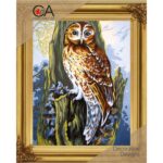 006252-k Kit 20x30