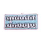 027-p003 Macho Hembra # 3 X 24 Un Negro