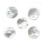 Sa 650 Aplicacion Concha Perla Pack 6 unidades
