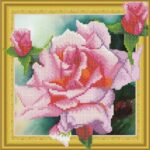 Ax303007 Kit Tender Rose