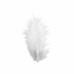 Sn 389 Plumas 100 Uni. Aprox. - Imagen 3