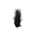 Sn 389 Plumas 100 Uni. Aprox. - Imagen 7