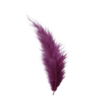 Sn 389 Plumas 100 Uni. Aprox. - Imagen 2