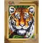 006253-K KIT 20x30