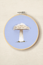 TB236 SETA PINCIPE - Imagen 2