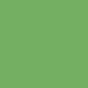 verde claro opacco